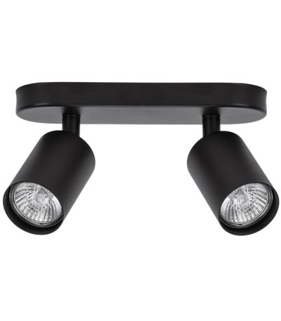 Спот Arte Lamp Aquarius A3226PL-2BK