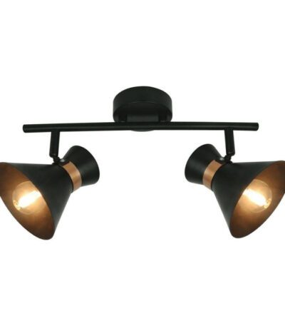 Спот Arte Lamp Baltimore A1406AP-2BK