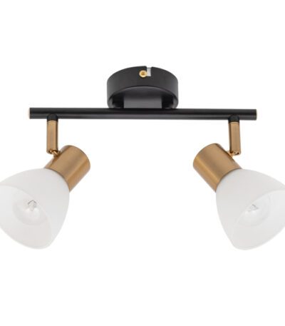 Спот Arte Lamp Falena A3117PL-2BK