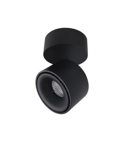 Спот Citilux CL558011N