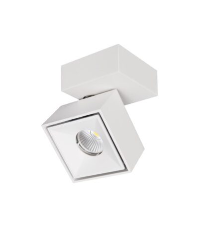 Спот Citilux CL558020N