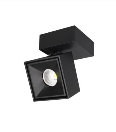 Спот Citilux CL558021N