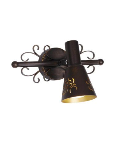 Спот Citilux Дункан CL529511