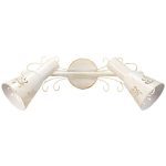 Спот Citilux Дункан CL529522