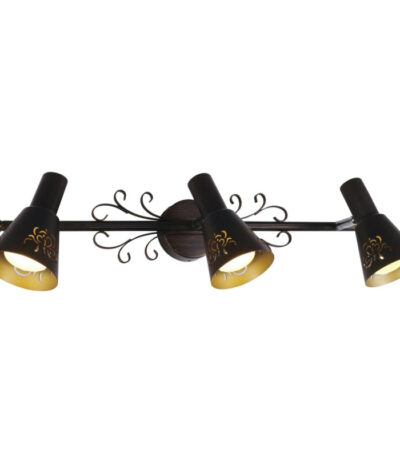 Спот Citilux Дункан CL529531