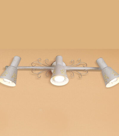 Спот Citilux Дункан CL529532