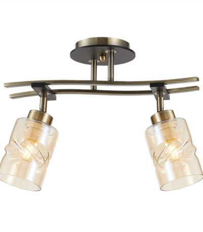 Спот Citilux Мерида CL142124