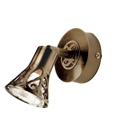 Спот Citilux Винон CL519513