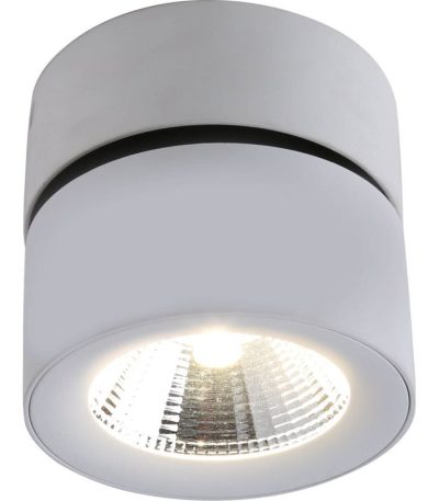 Спот Divinare Urchin 1295/03 PL-1