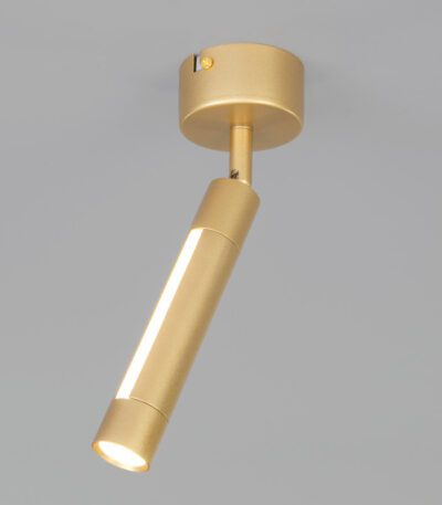 Спот Eurosvet 20084/1 LED матовое золото