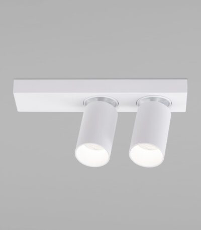 Спот Eurosvet Flank 20139/2 LED белый