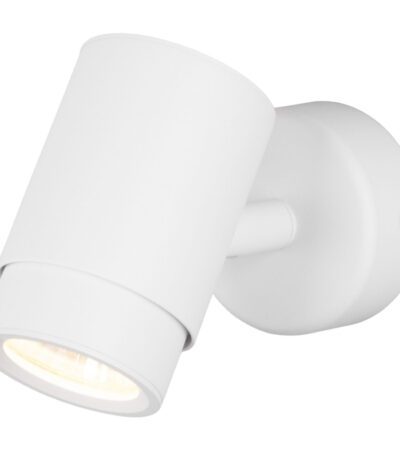 Спот Eurosvet Morgan 20124/1 белый