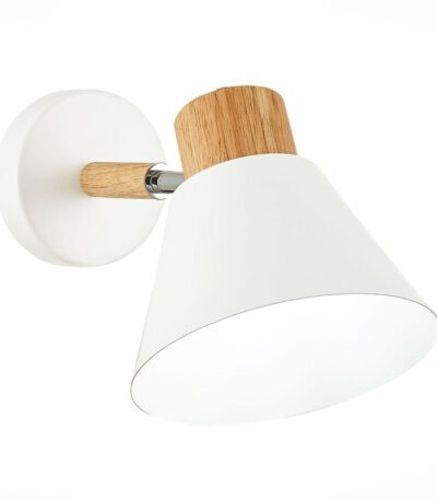 Спот Evoluce Buve SLE103701-01