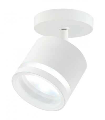 Спот IMEX Arta IL.0005.4501 WH