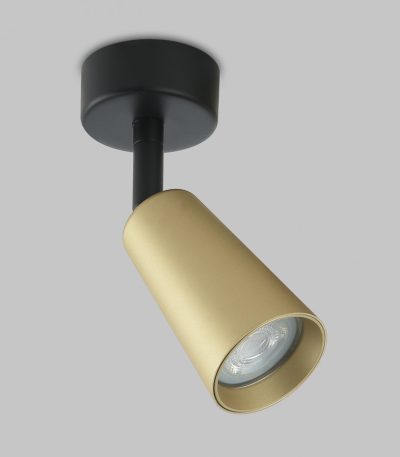 Спот IMEX Dals GU10 IL.0005.4901-BMG