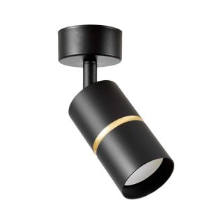 Спот Lampit Asti TS TK40-C1 BK+GD