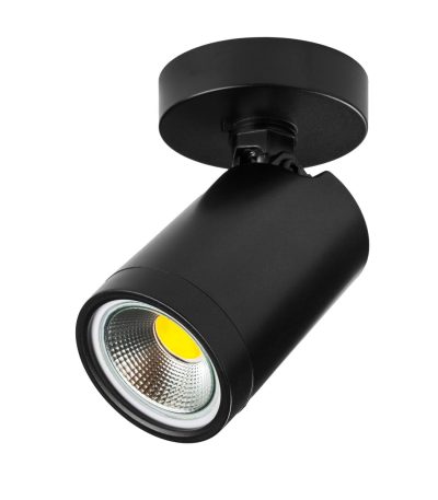 Спот Lightstar Rullo 213407