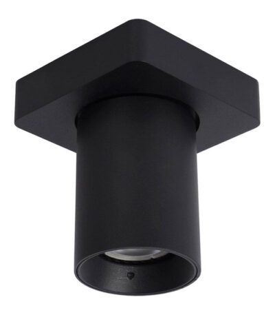 Спот Lucide NIGEL 09929/05/30