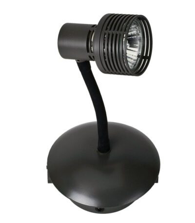 Спот Lussole Loft Arina LSP-9821