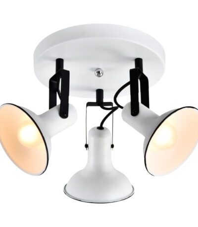 Спот Lussole Loft Fargo LSP-8803