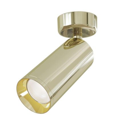 Спот Maytoni Focus C017CW-01G