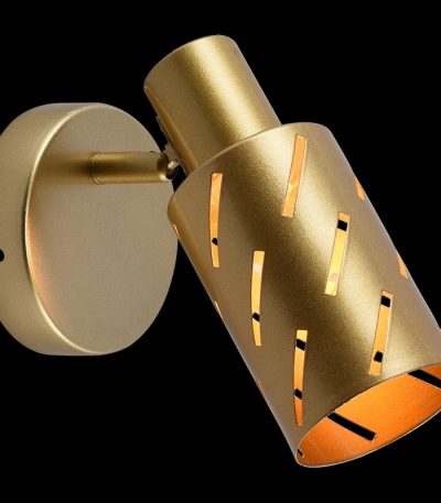 Спот Reluce 05970-0.8-01 GOLD