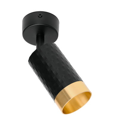 Спот Wolta Cella WSL-GU10/S10BG