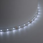 Светодиодная лента Saffit SST01 12В 6Вт/м 6500К 5м IP20 55239