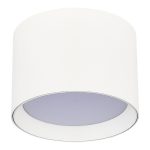 Накладной светильник ST Luce ST163.502.01