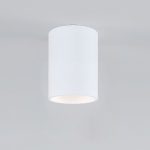 Накладной светильник Elektrostandard Porter 4690389198472 a064288