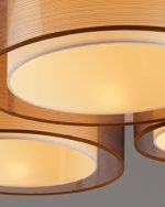 Потолочный светильник Moderli Room V10624-5C