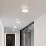 Накладной светильник Elektrostandard Banti 4690389196737 a063927