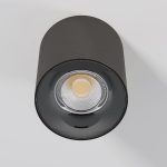 Накладной светильник Elektrostandard Primo 25116/LED 4690389212970 a069415