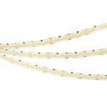 Светодиодная лента Arlight RT-A252-10mm 24V Day5000 (11 W/m, IP20, 2835, 5m) 028618(2)