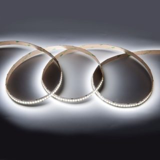 Светодиодная лента General GLS-2835-240-19.2-12-IP20-6 501450