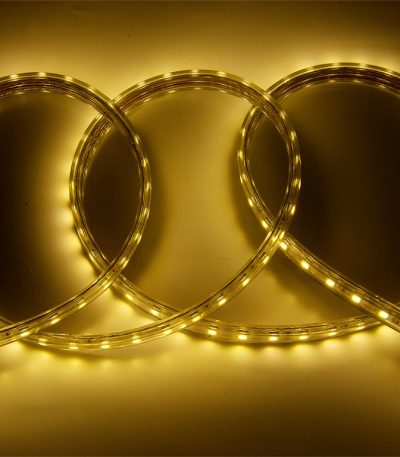 Светодиодная лента General GLS-5050-60-14.4-220-IP67-3 504615