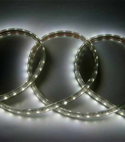 Светодиодная лента General GLS-5050-60-14.4-220-IP67-6 504715