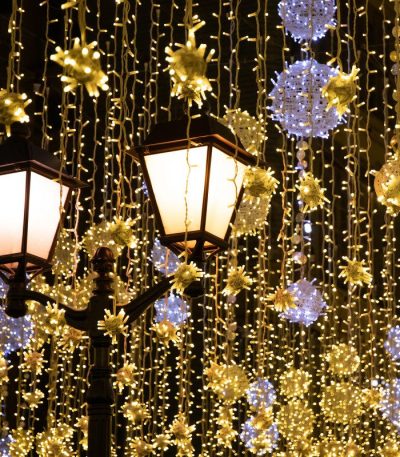 Светодиодная нить Eurosvet 400-101 белый с эффектом мерцания 10м IP65