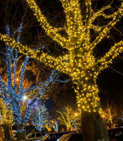 Светодиодная нить Eurosvet 400-102 белый 20м IP65