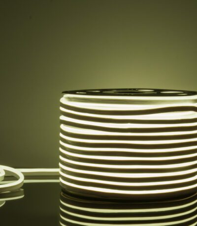 Светодиодный гибкий неон Elektrostandard 220V 9,6W 120Led 2835 IP67 односторонний холодный белый, 50 м 4690389121456