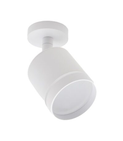 Светодиодный спот 20009 20009SMA/02LED SWH