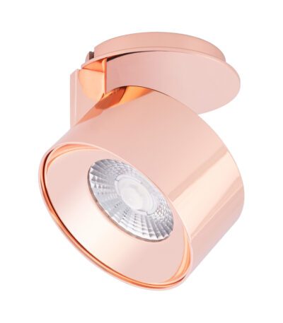 Точечный светильник Arlight Plurio-Lamp-R77-9W Warm3000 031837