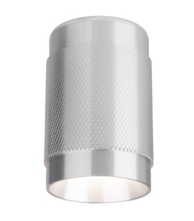 Точечный светильник Elektrostandard DLN109 GU10 серебро a047742