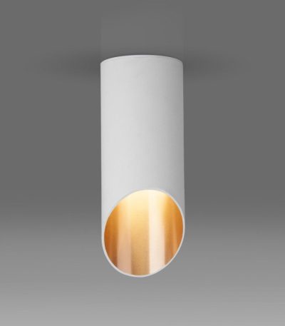 Точечный светильник Elektrostandard DLN114 GU10 белый/золото a050119