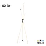 Торшер Citilux Lucia CL217961