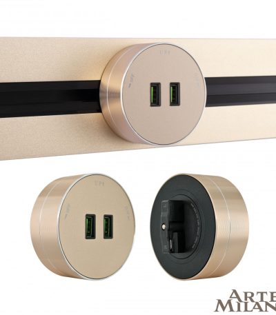 Трековая розетка Arte Milano Am-track-sockets 380011TS/USBx2 Gold