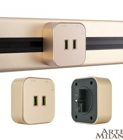 Трековая розетка Arte Milano Am-track-sockets 380022TS/USBx2 Gold