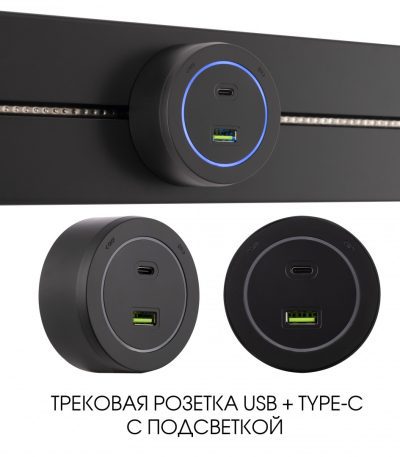 Трековая розетка Arte Milano Am-track-sockets-39 399731TS/USB-Type-C Black