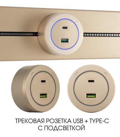 Трековая розетка Arte Milano Am-track-sockets-39 399731TS/USB-Type-C Gold