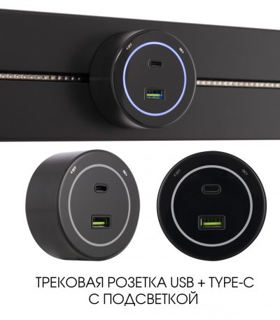 Трековая розетка Arte Milano Am-track-sockets-39 399732TS/USB-Type-C Black